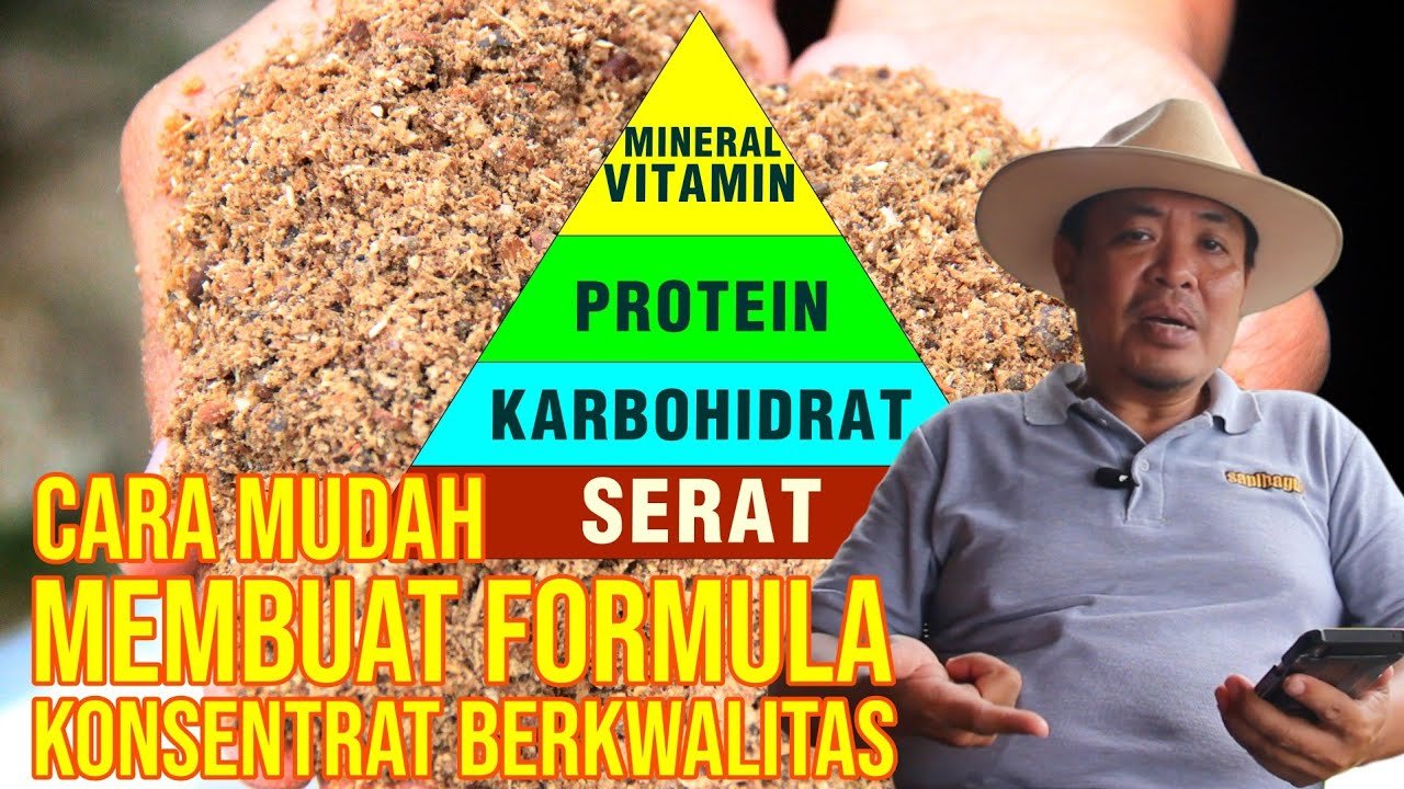 Cara Membuat Konsentrat Pakan Ternak Sapi Yang Berkualitas.jpg